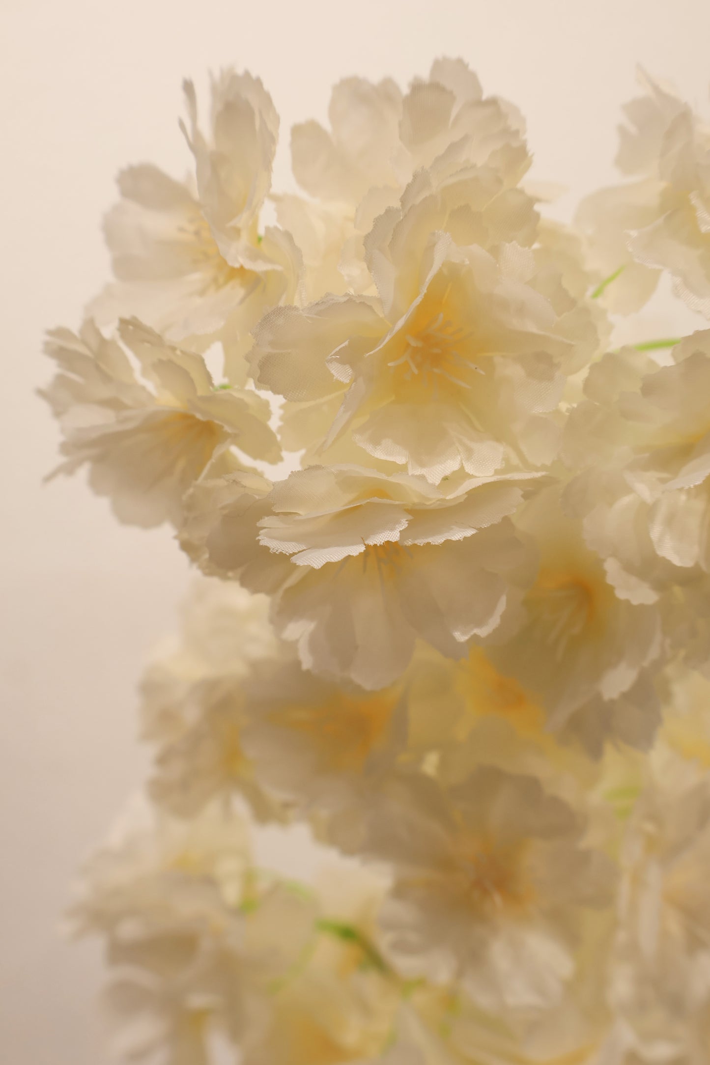 CHERRY BLOSSOM — 37.0" (94 cm)