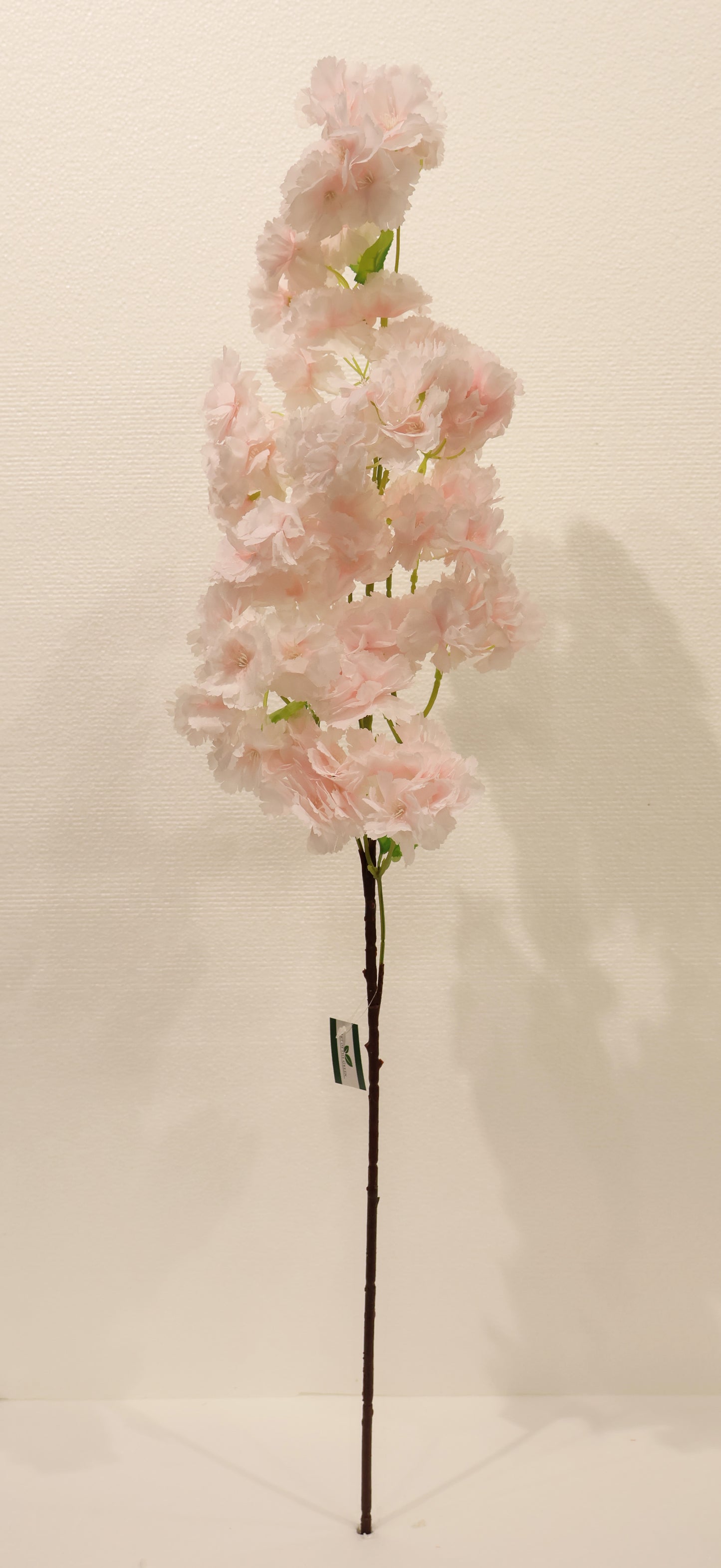 CHERRY BLOSSOM — 37.0" (94 cm)