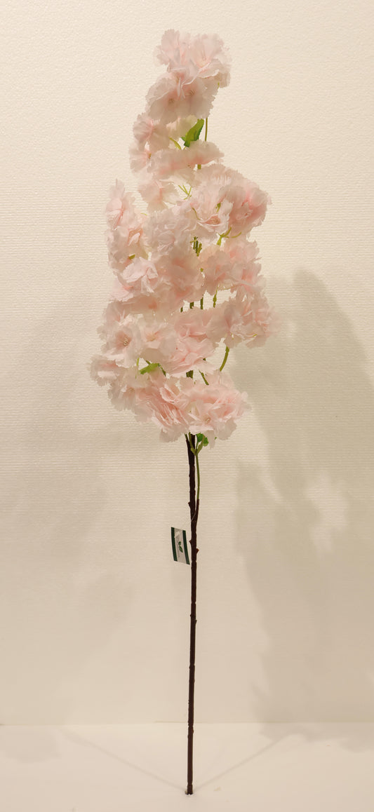 CHERRY BLOSSOM — 37.0" (94 cm)