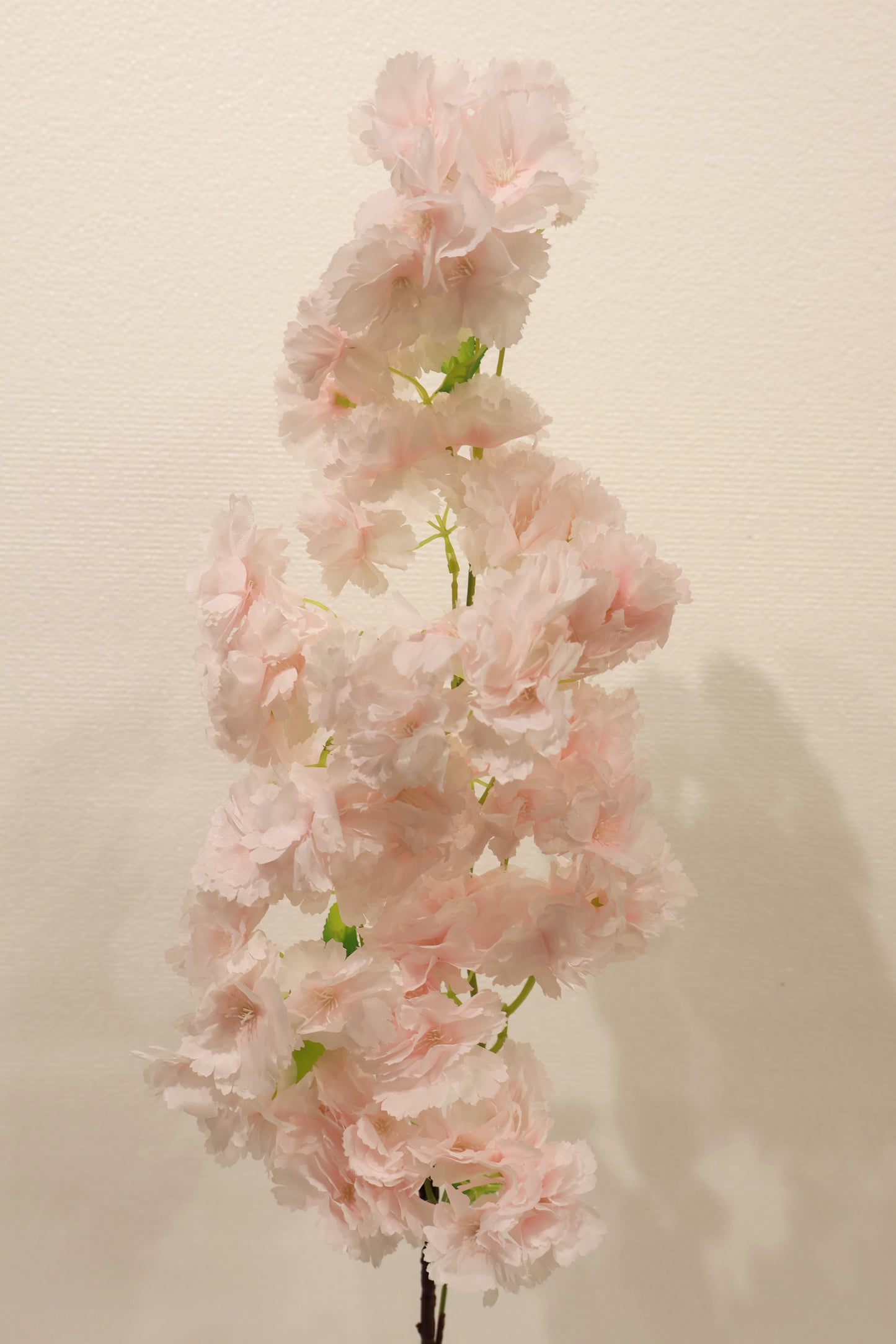 CHERRY BLOSSOM — 37.0" (94 cm)