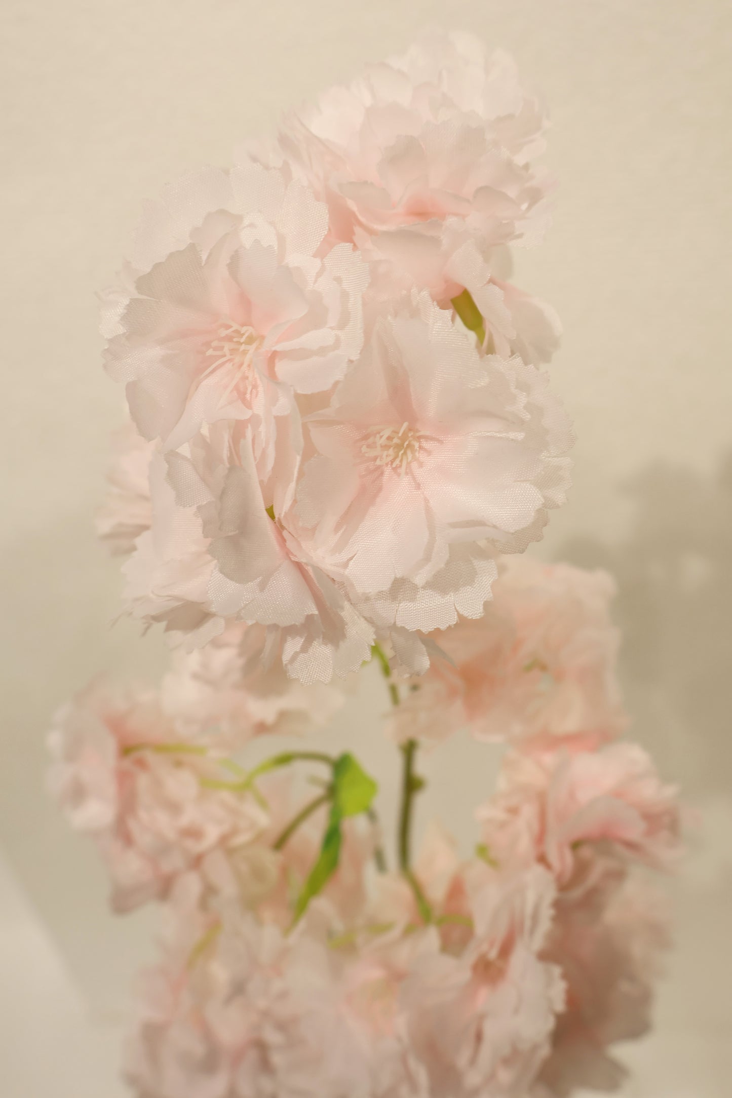 CHERRY BLOSSOM — 37.0" (94 cm)