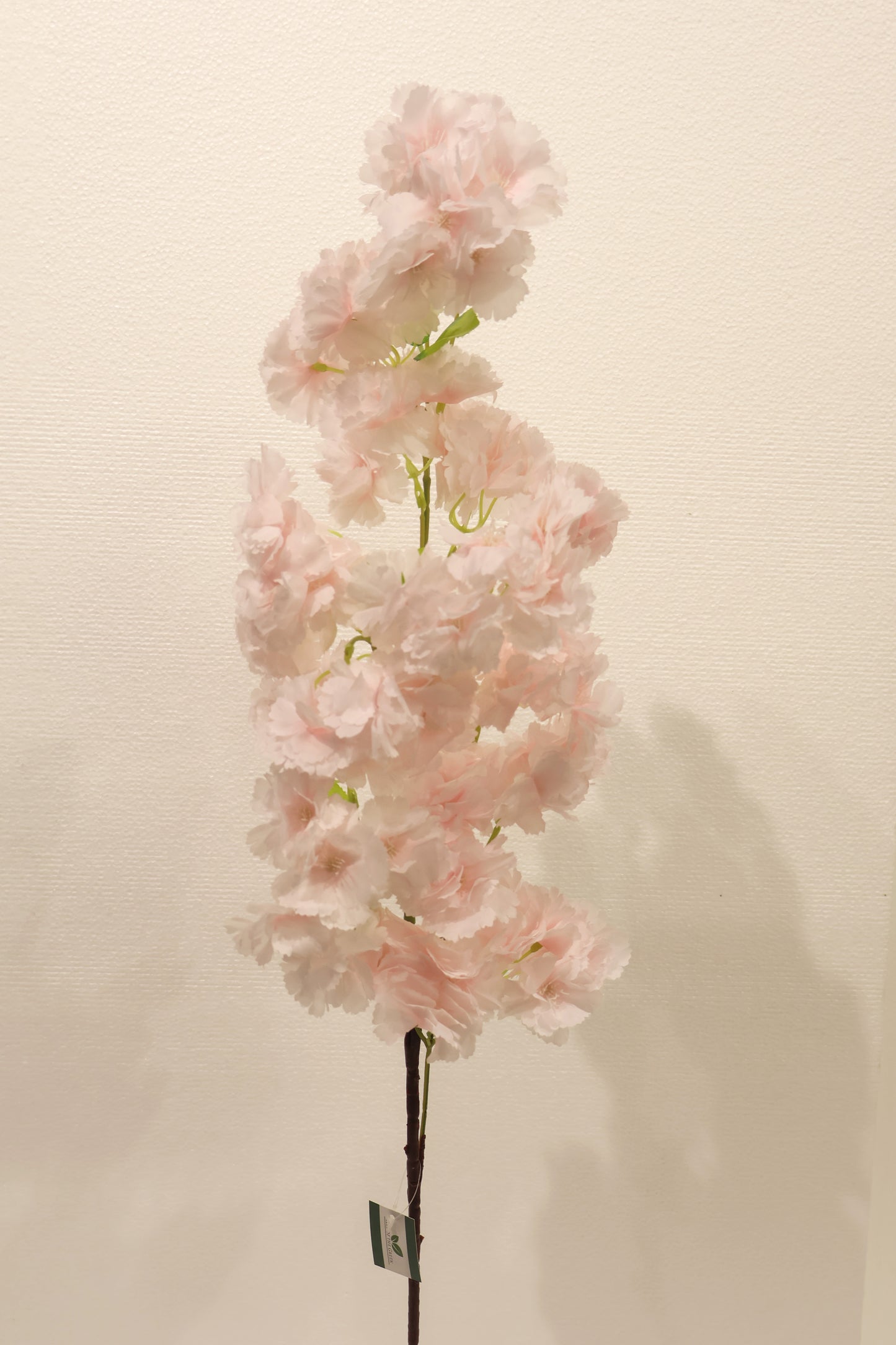 CHERRY BLOSSOM — 37.0" (94 cm)