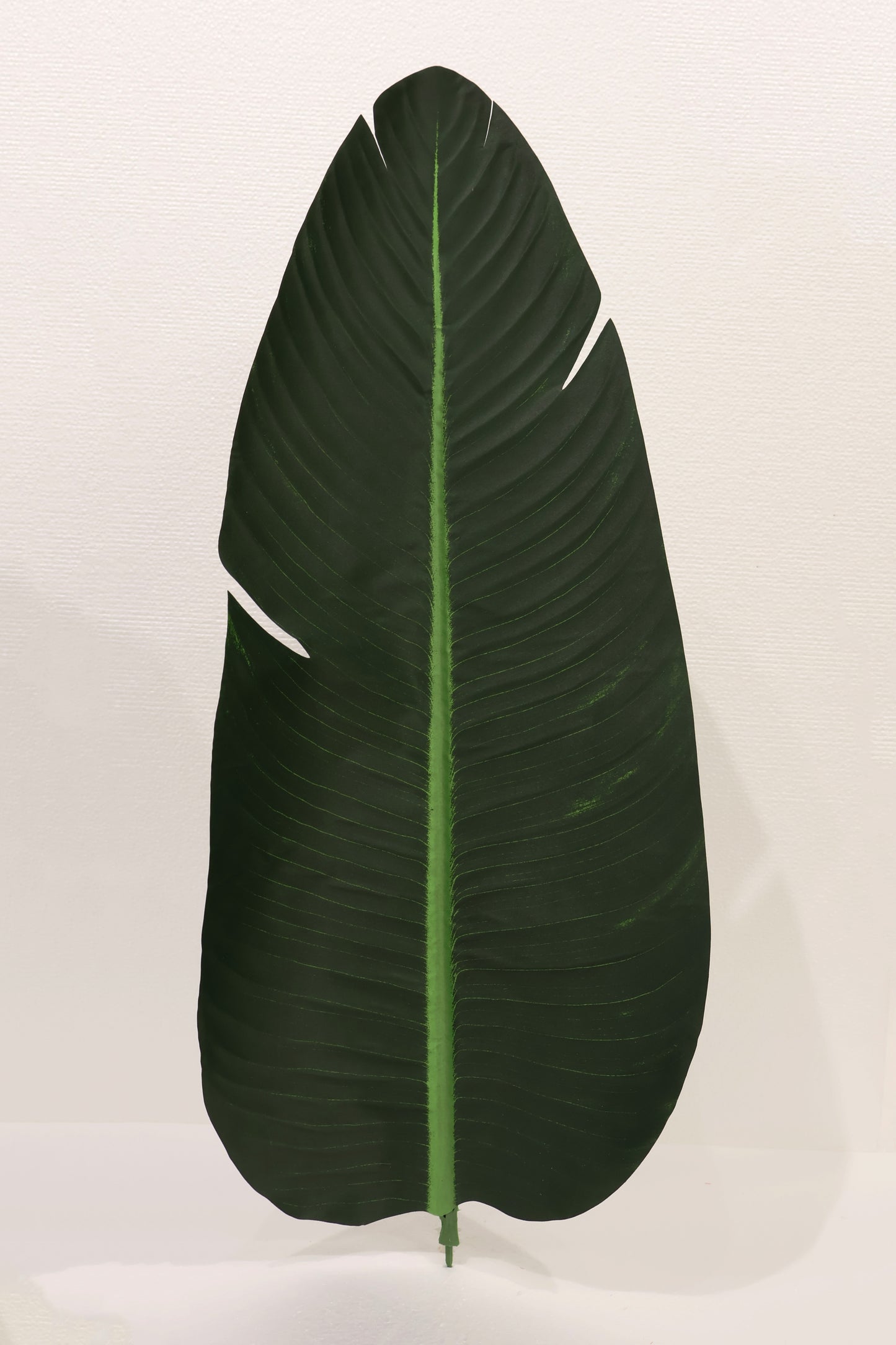 BIRD OF PARADISE SINGLE LEAF — 26.8" (68 cm)