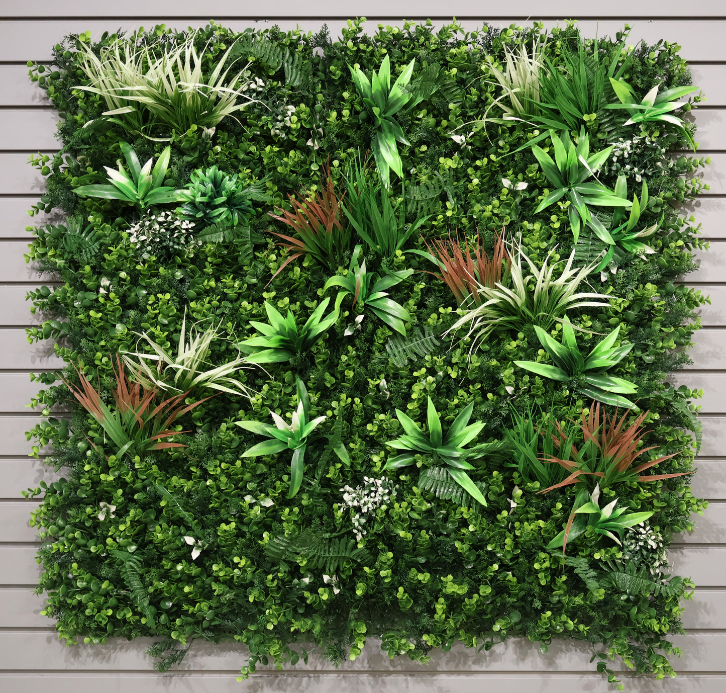 GREEN WALL — CORDYLINE FOCUS — 40" × 40" (102 × 102 cm)