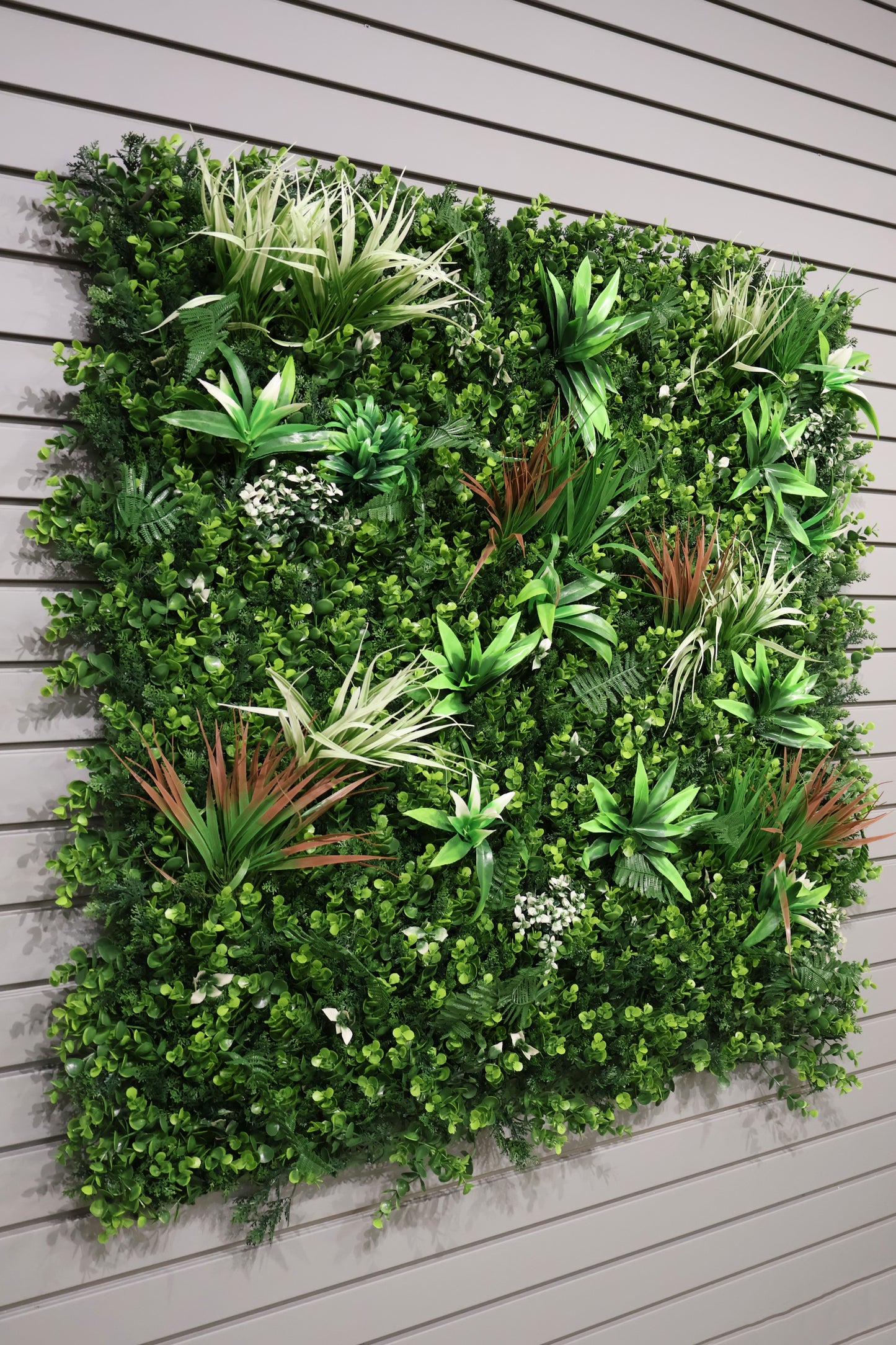 GREEN WALL — CORDYLINE FOCUS — 40" × 40" (102 × 102 cm)