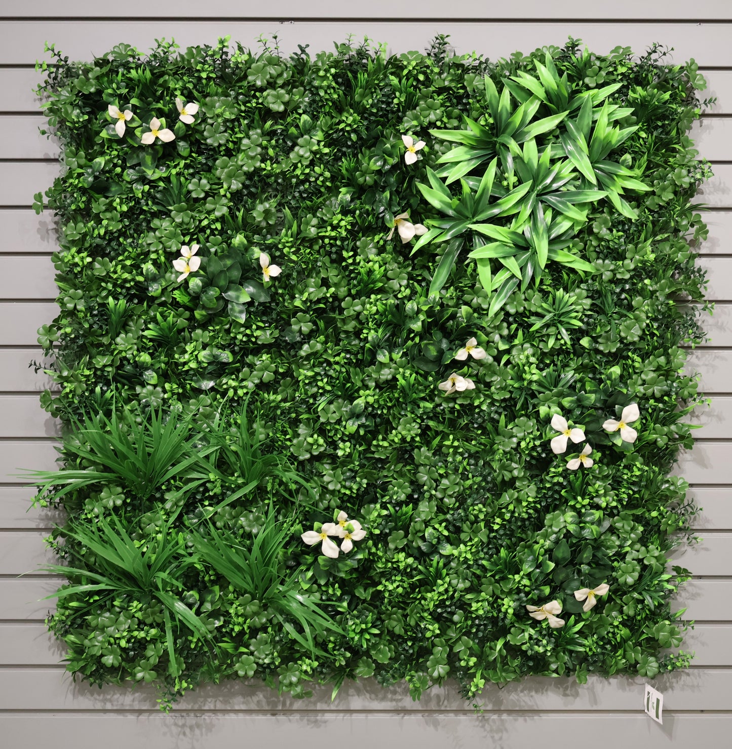 GREEN WALL — WHITE BLOOM — 40" × 40" (102 × 102 cm)
