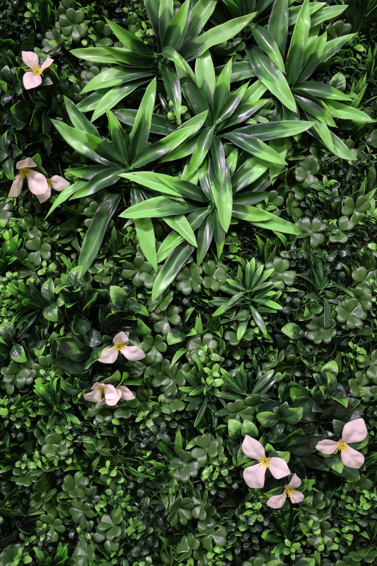GREEN WALL — WHITE BLOOM — 40" × 40" (102 × 102 cm)