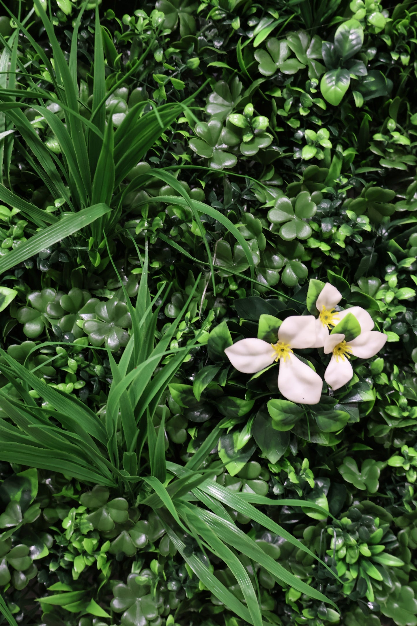 GREEN WALL — WHITE BLOOM — 40" × 40" (102 × 102 cm)