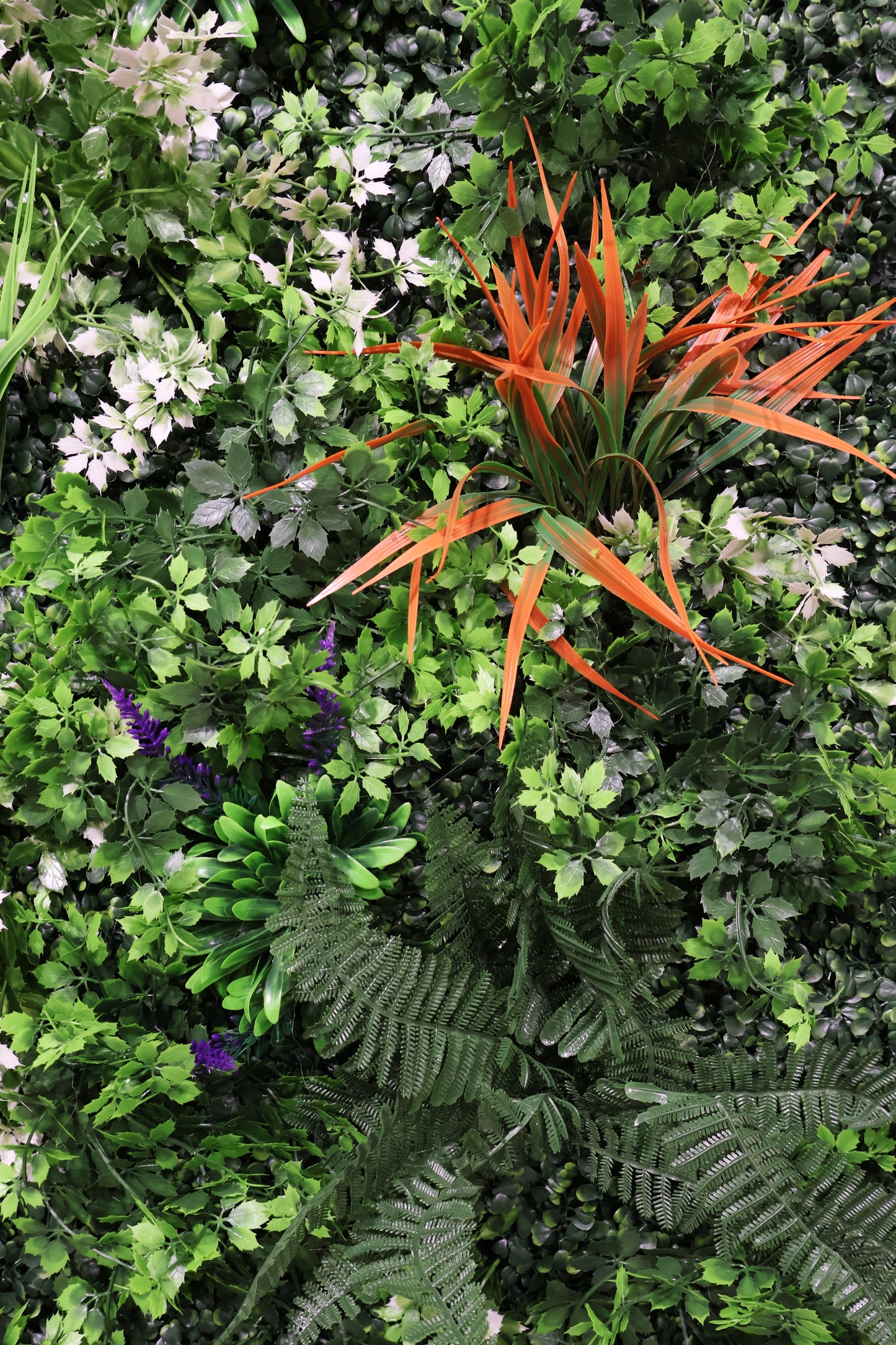GREEN WALL — ORANGE NOTE — 40" × 40" (102 × 102 cm)