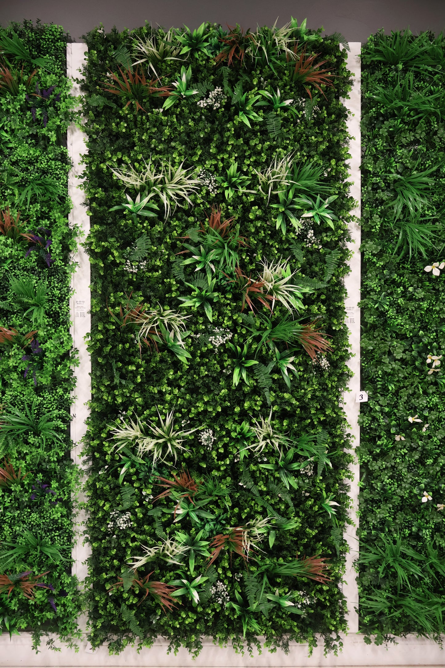 GREEN WALL — CORDYLINE FOCUS — 40" × 40" (102 × 102 cm)