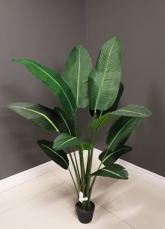 BIRD OF PARADISE (STRELITZIA) — 63" (160 cm)