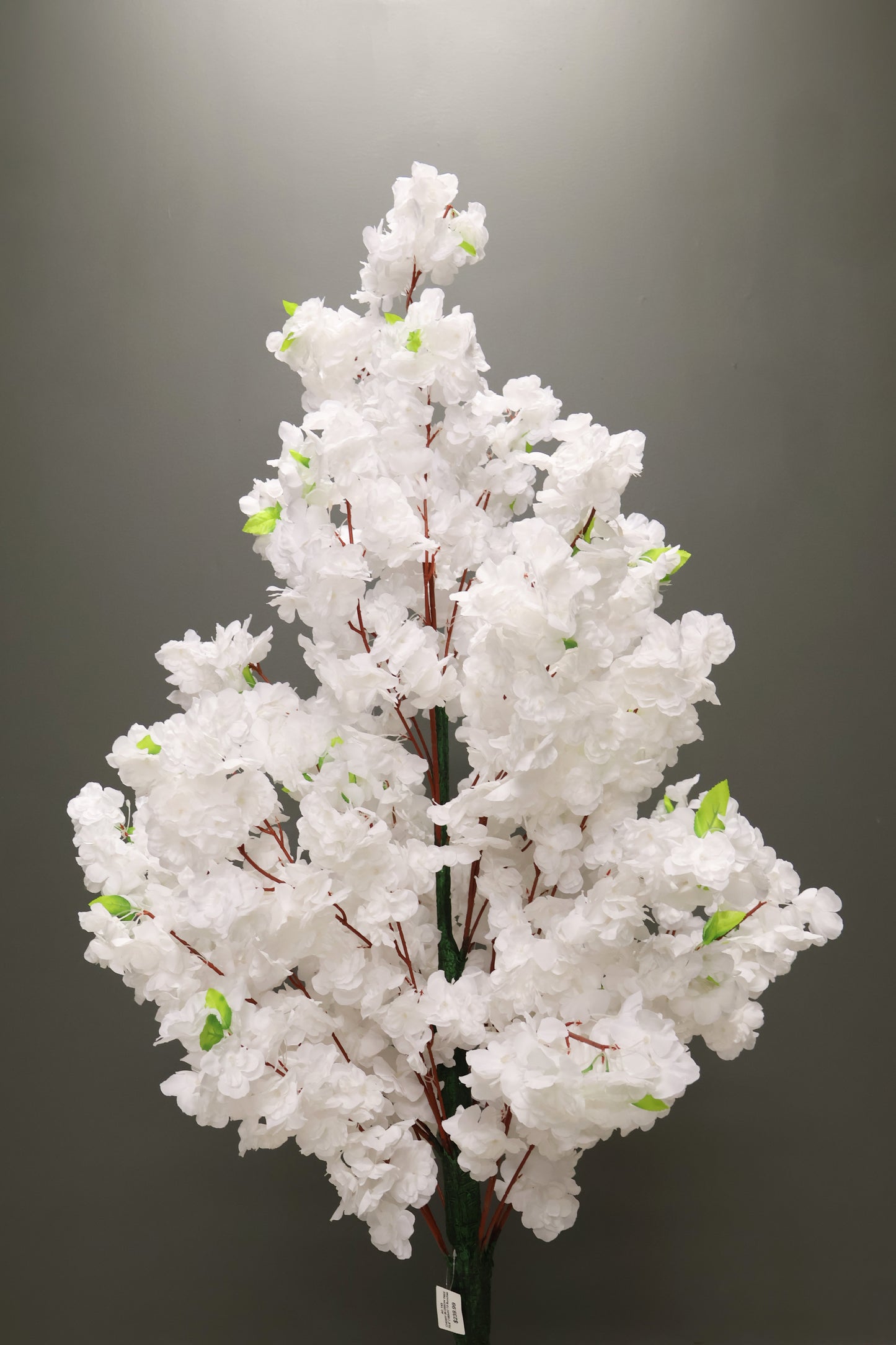 CHERRY BLOSSOM — 70.9" (180 cm)