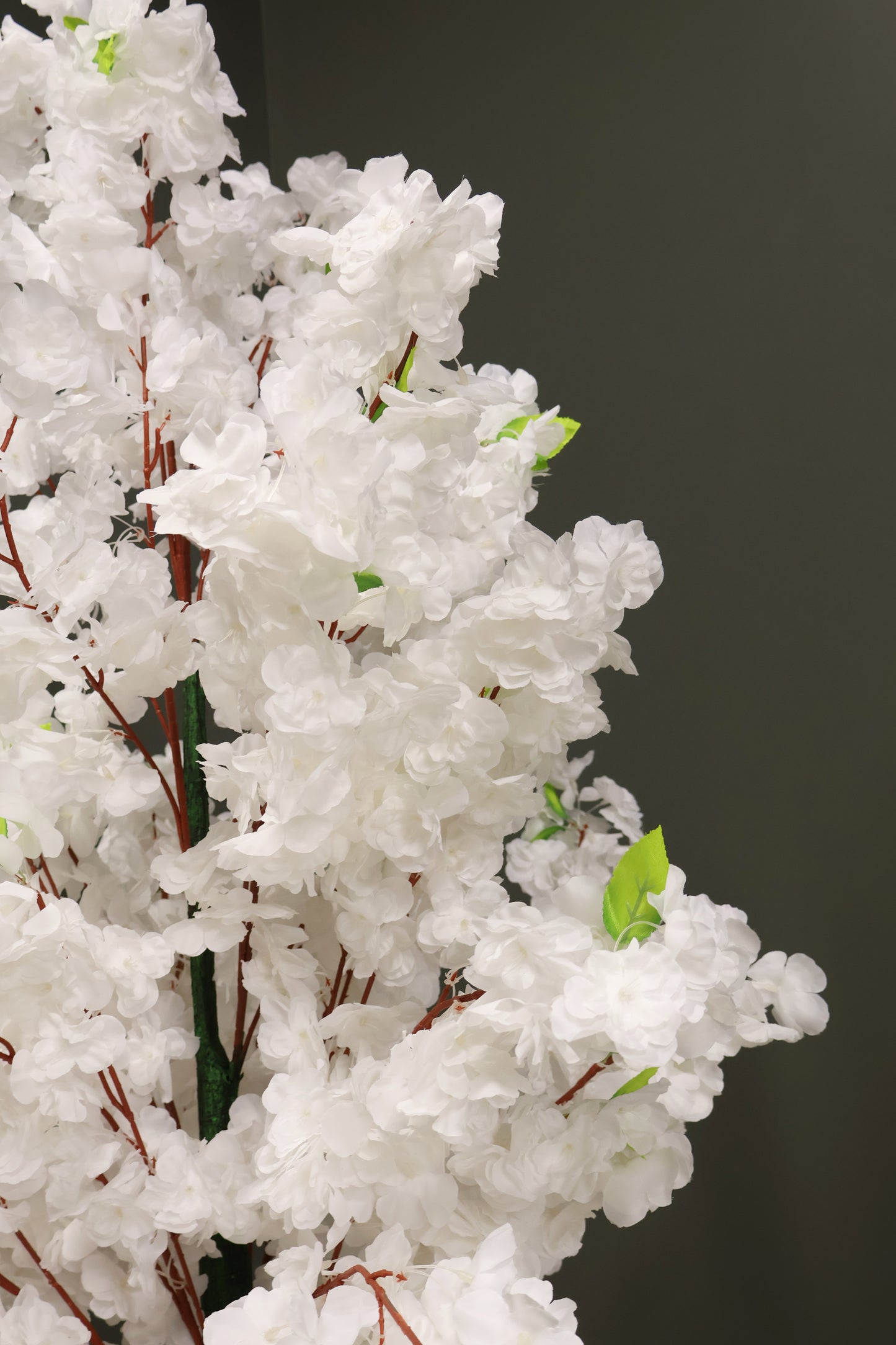 CHERRY BLOSSOM — 70.9" (180 cm)