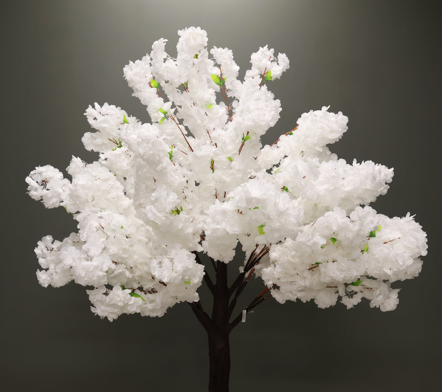 CHERRY BLOSSOM — 78.7" (200 cm)