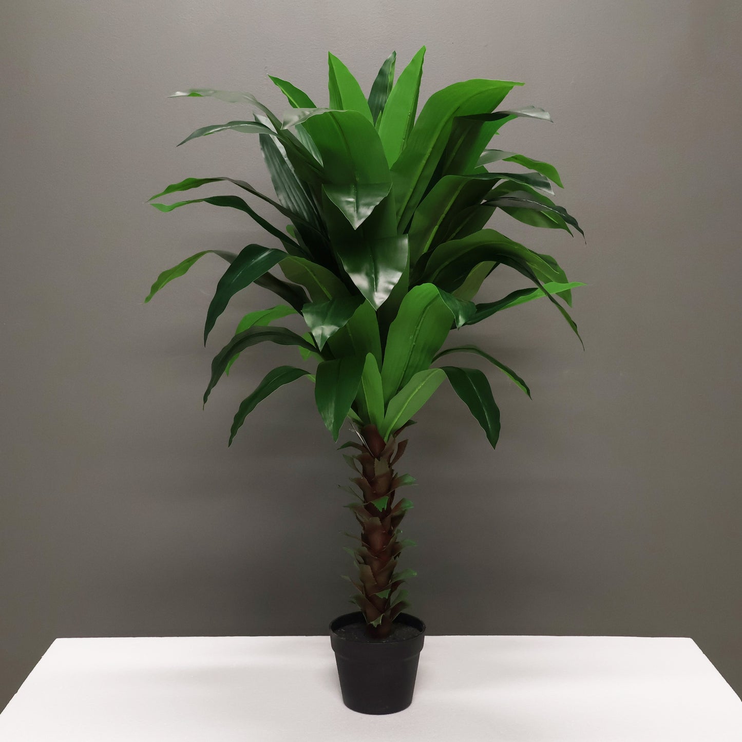 SOLID GREEN DRACAENA — 39.4" (100 cm)