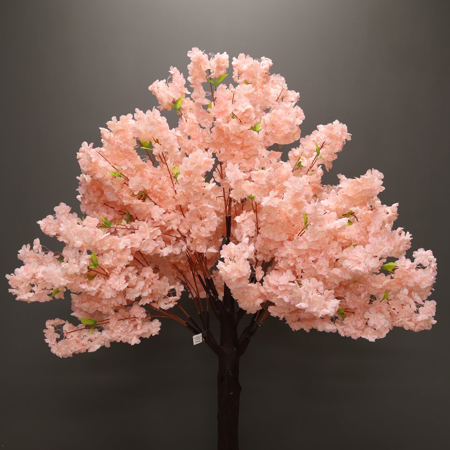 CHERRY BLOSSOM — 78.7" (200 cm)