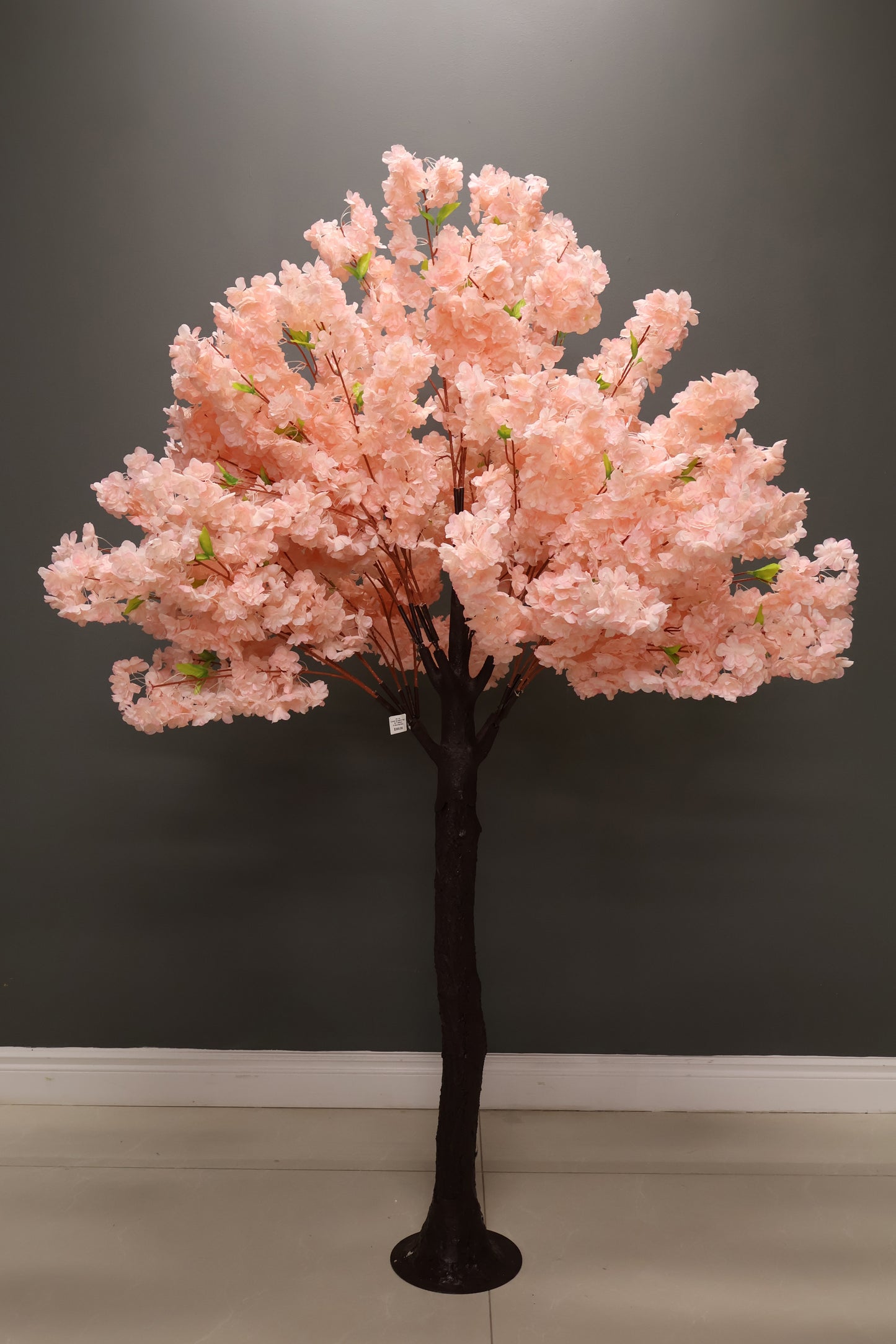 CHERRY BLOSSOM — 78.7" (200 cm)