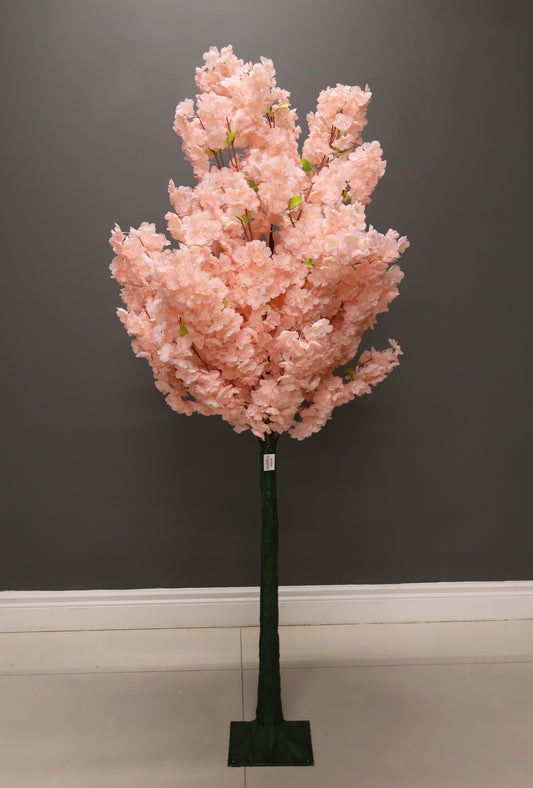 CHERRY BLOSSOM — 70.9" (180 cm)