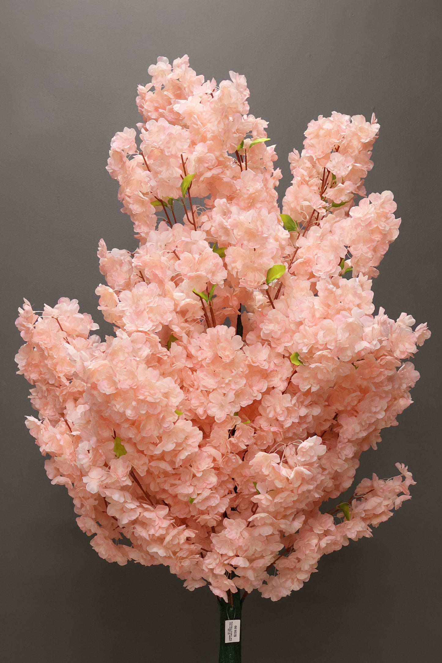 CHERRY BLOSSOM — 70.9" (180 cm)
