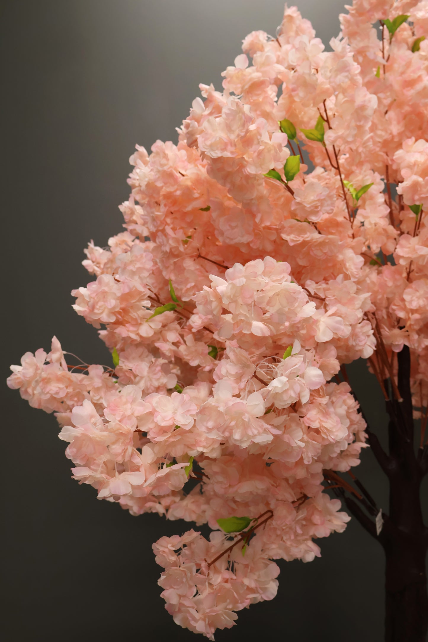 CHERRY BLOSSOM — 78.7" (200 cm)