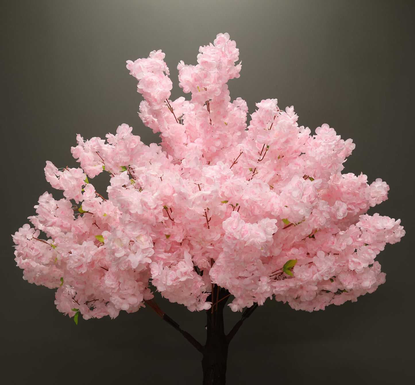 CHERRY BLOSSOM — 78.7" (200 cm)