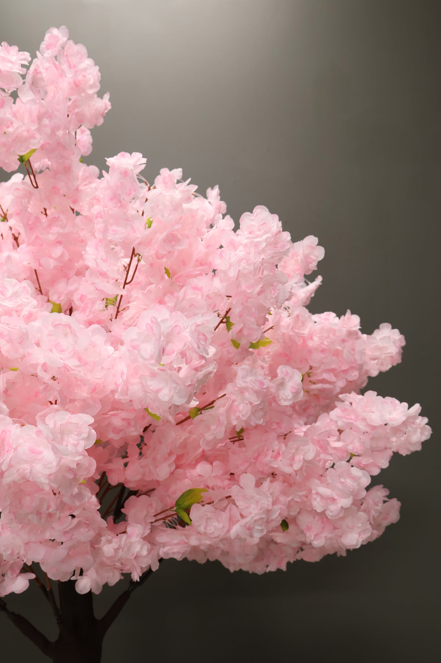 CHERRY BLOSSOM — 78.7" (200 cm)