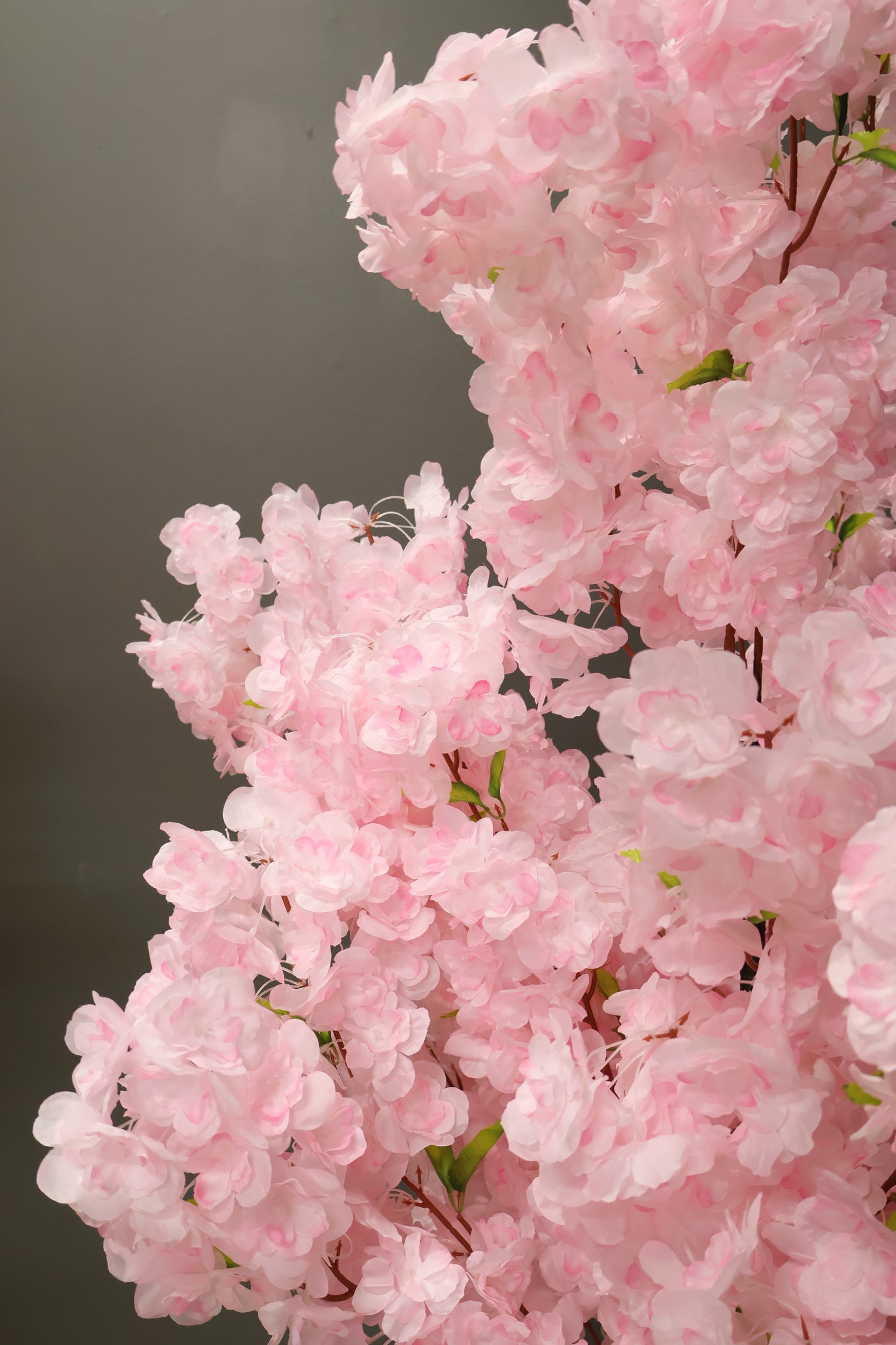 CHERRY BLOSSOM — 70.9" (180 cm)