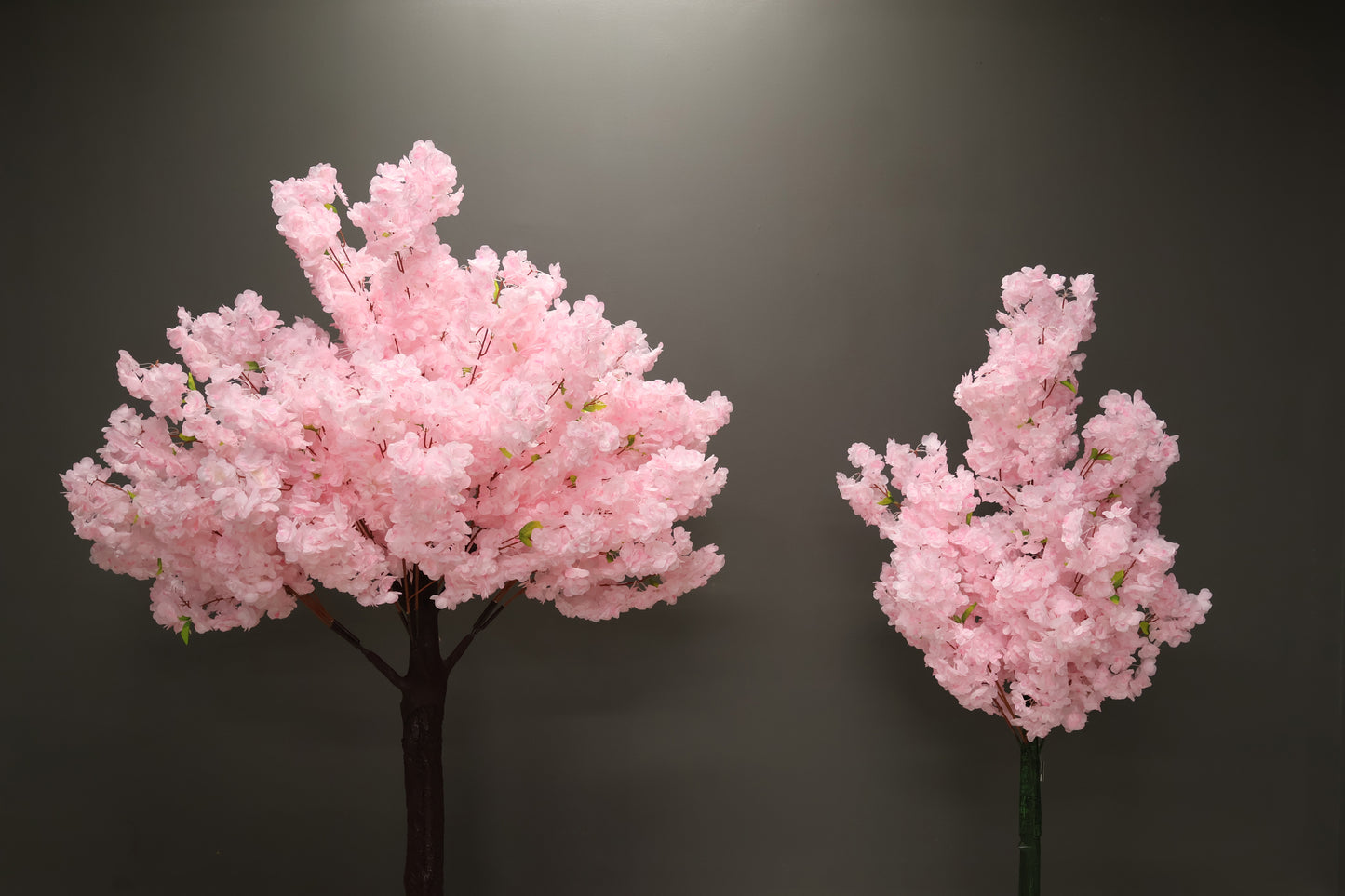 CHERRY BLOSSOM — 78.7" (200 cm)
