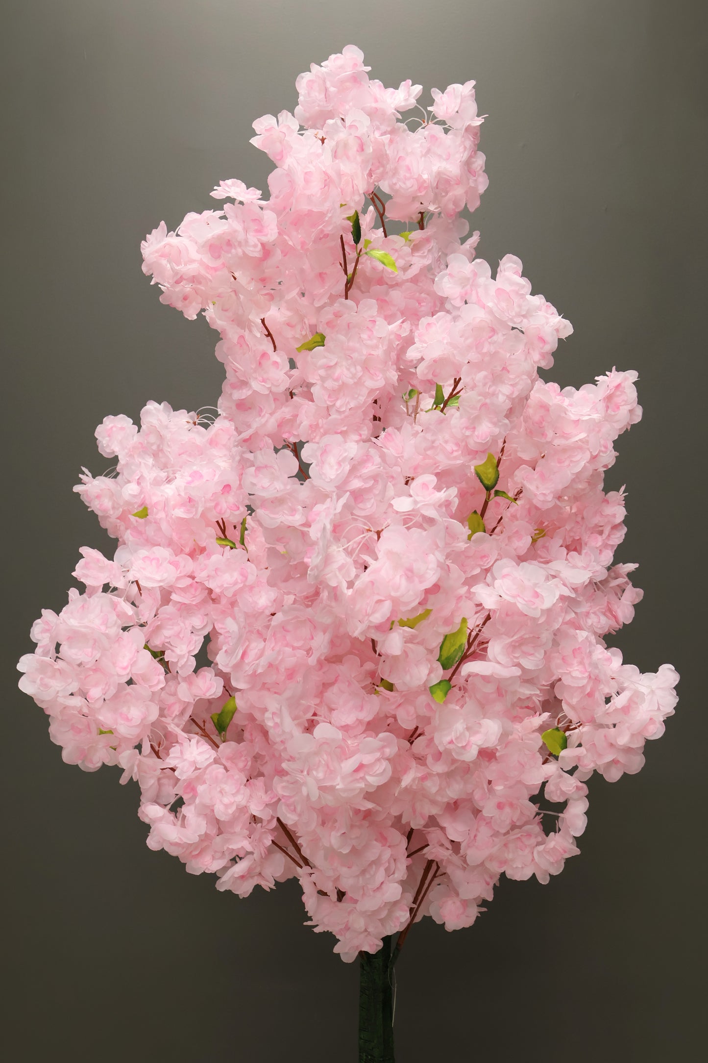 CHERRY BLOSSOM — 70.9" (180 cm)